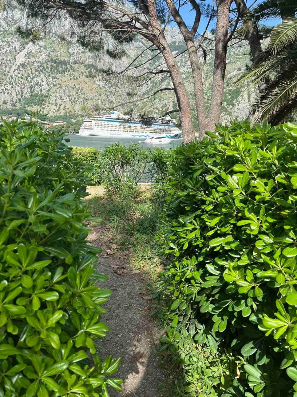 Apartament Asija Kotor Zewnętrze zdjęcie